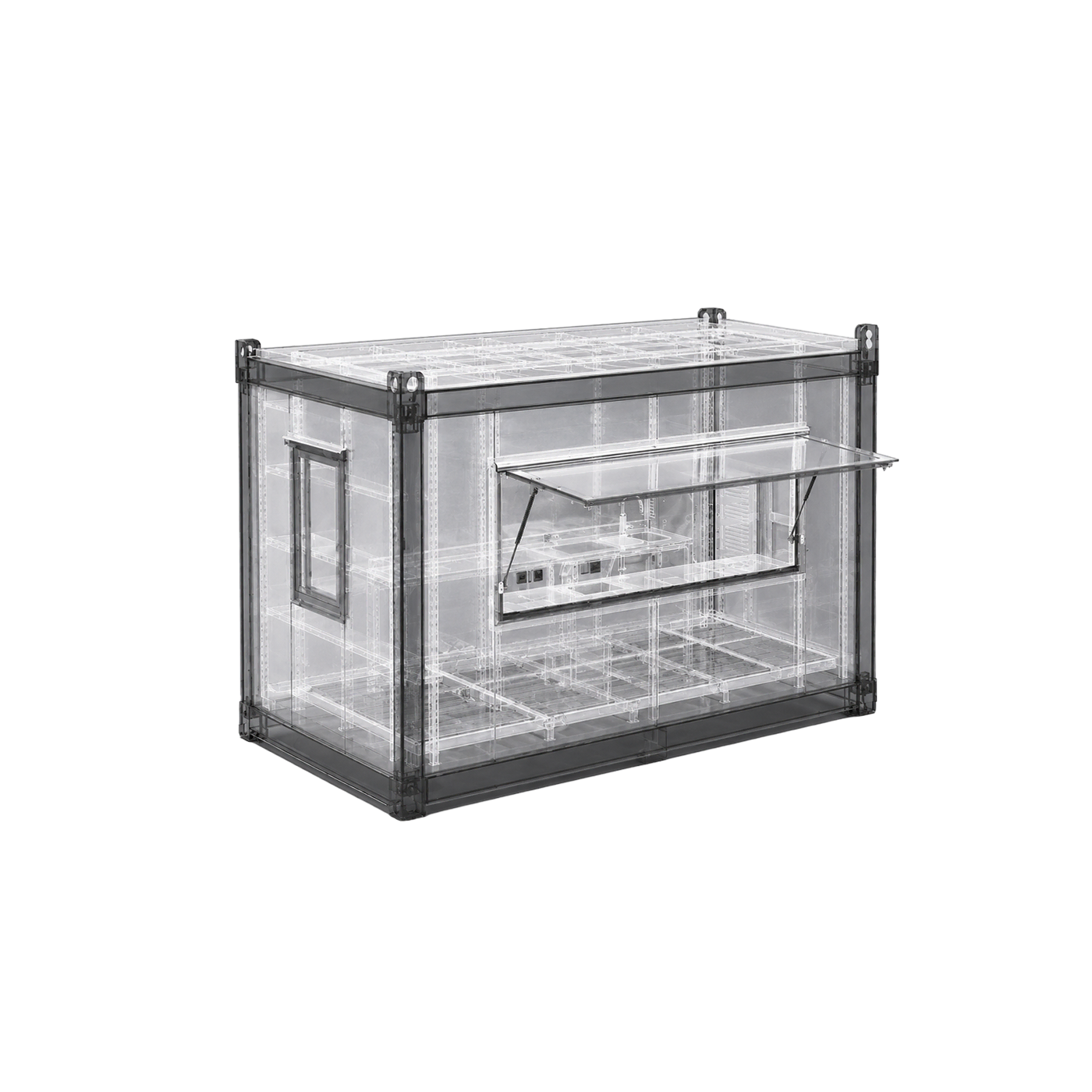 Custom Container 15ft